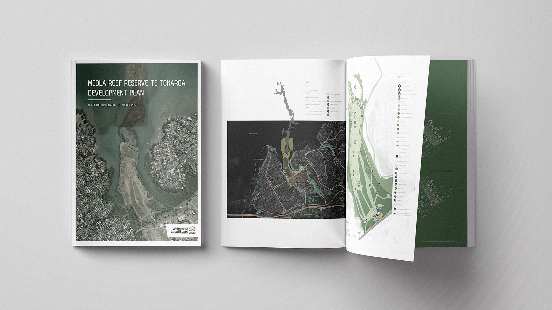 Resilio Studio Meola Reef