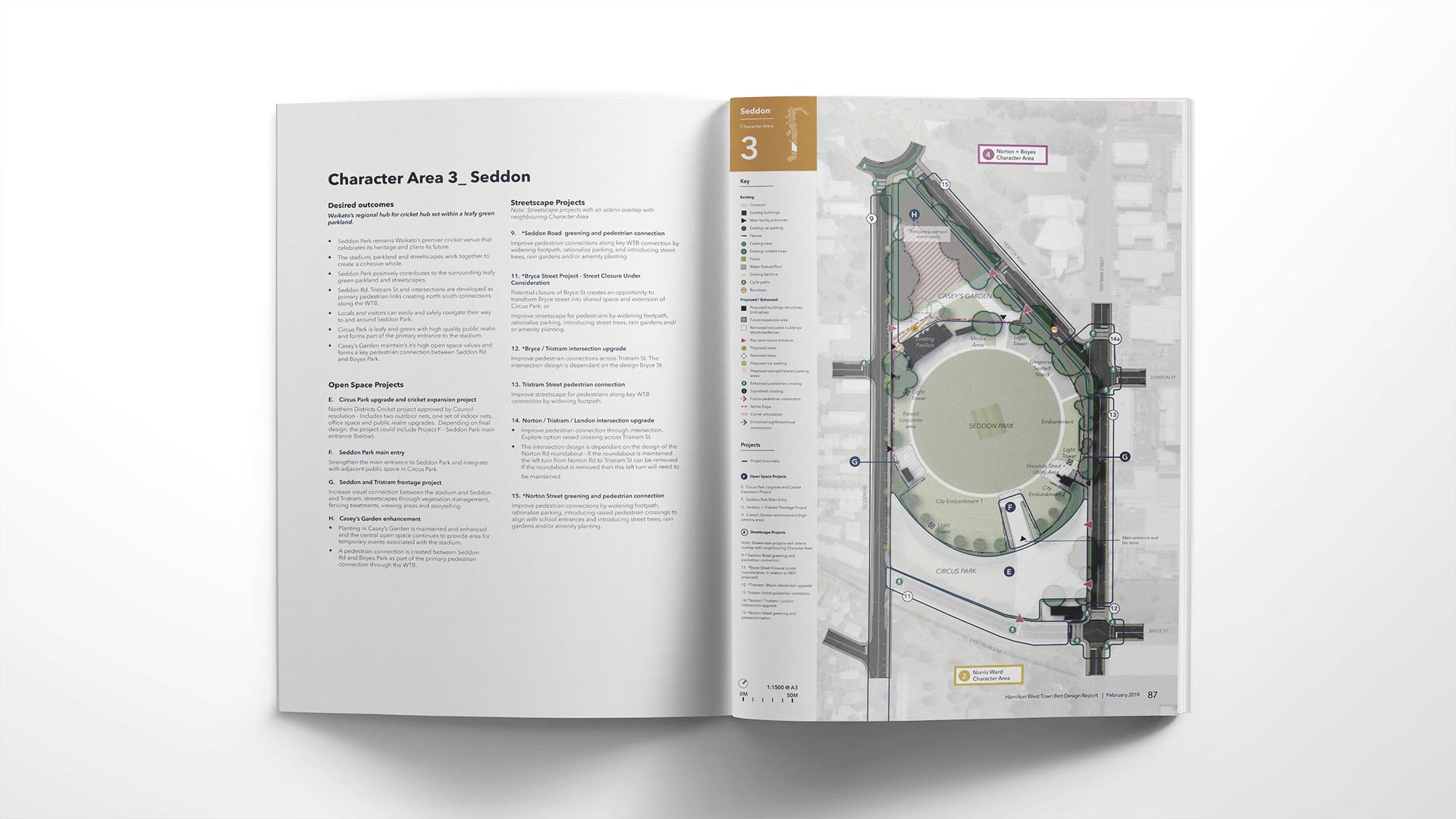 Hamilton West Town Belt 4