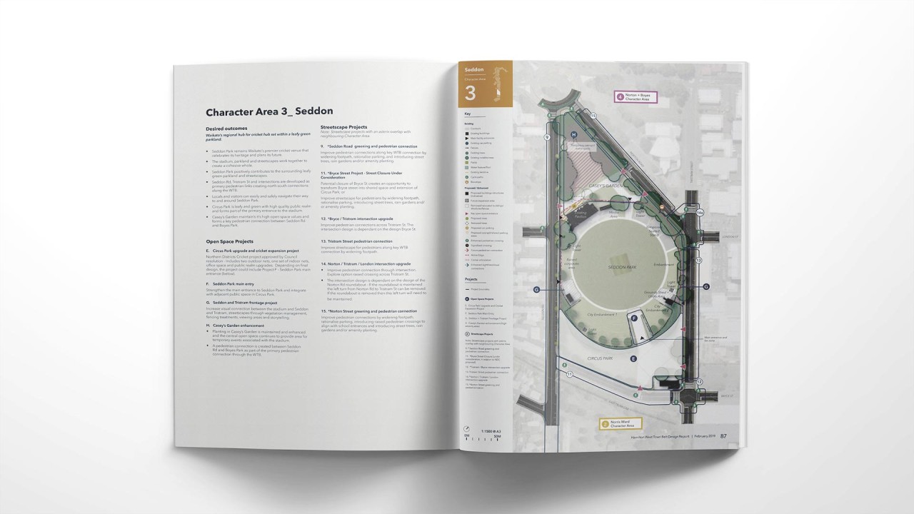 Hamilton West Town Belt 4