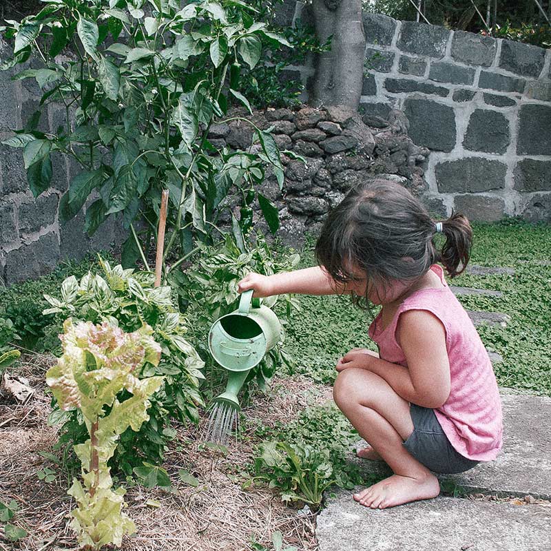 Image - Productive Gardens and Properties