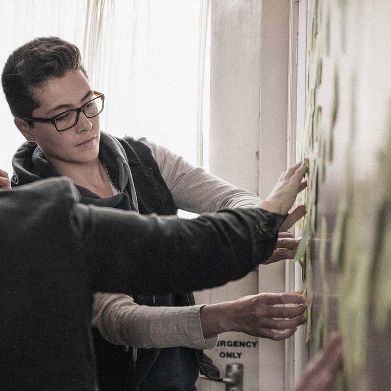 Image - Auckland Kai Lab