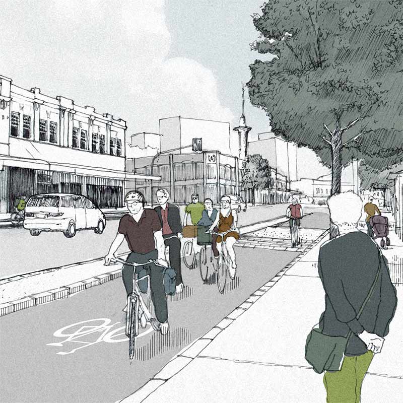 Image - Visualising Active Transport