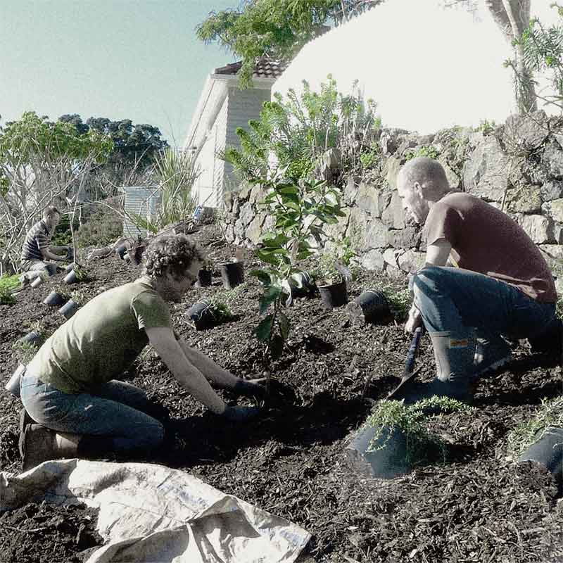 Image - Puket&amacr;papa Permablitz Project