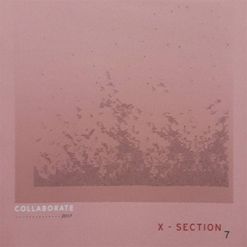 X-Section 2017 cover image