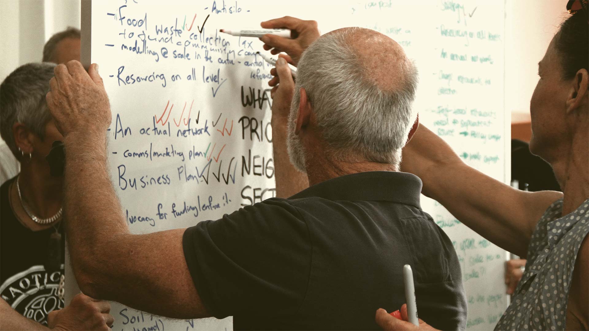 Waitemata Community Composting 7