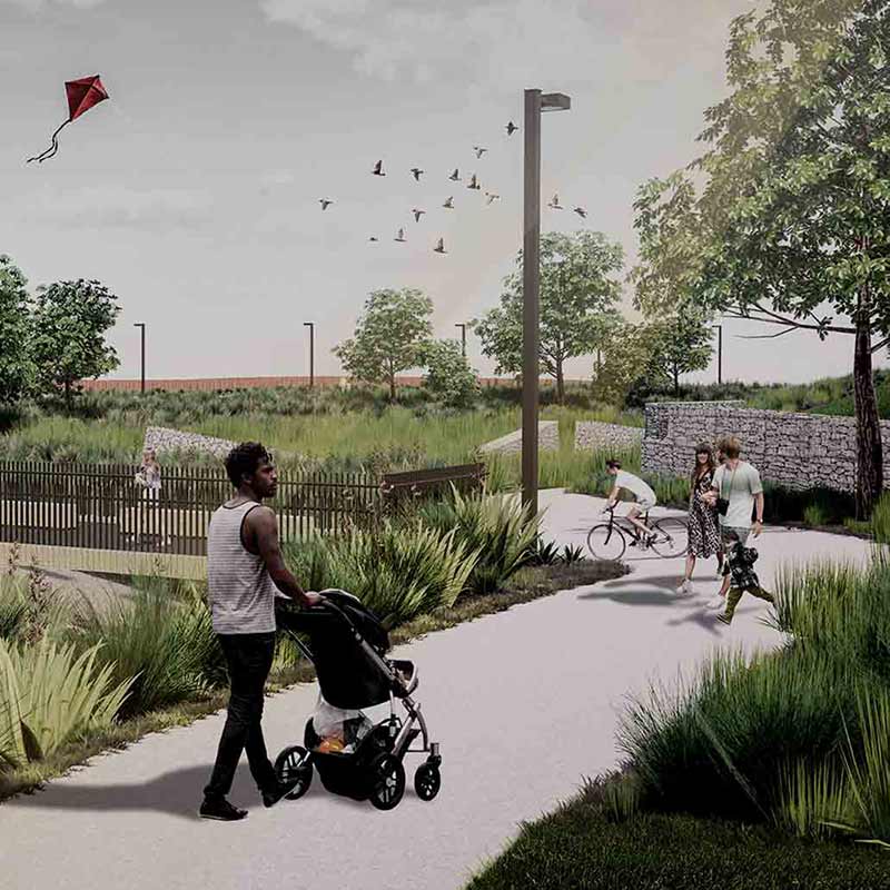 Image - Taniwha Reserve