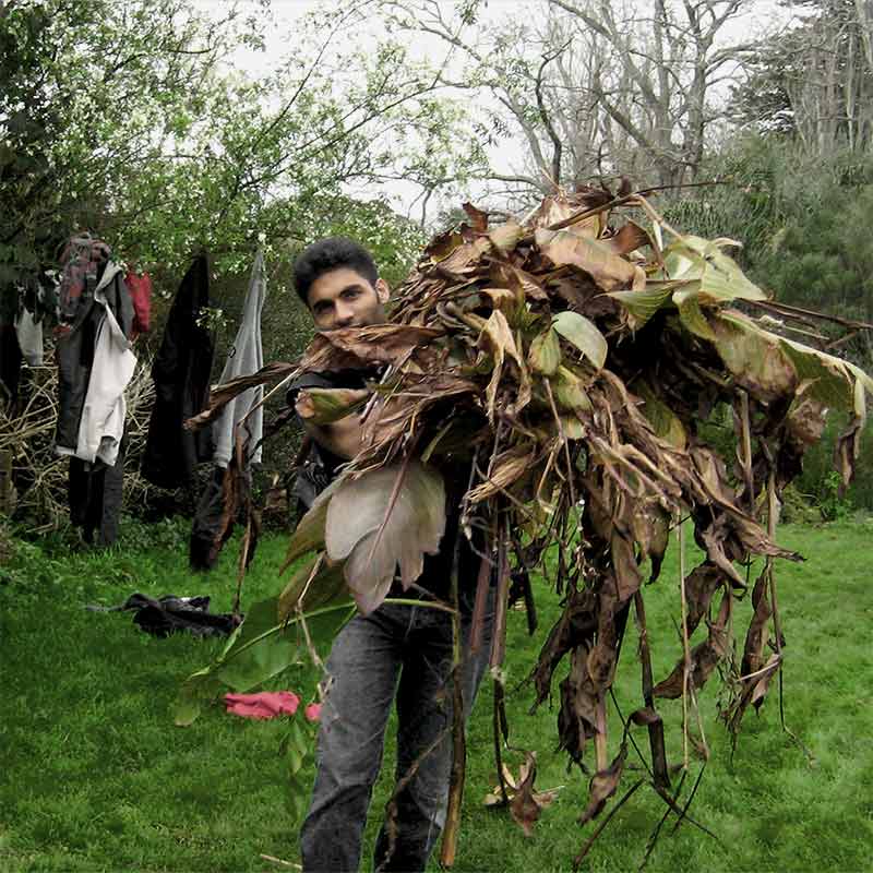 Image - Auckland Permaculture Workshop