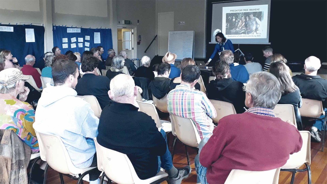 Waiheke Collective 2